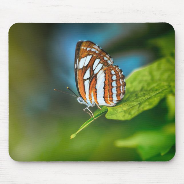 White and Orange Striped Butterfly Mouse Mat (Front)