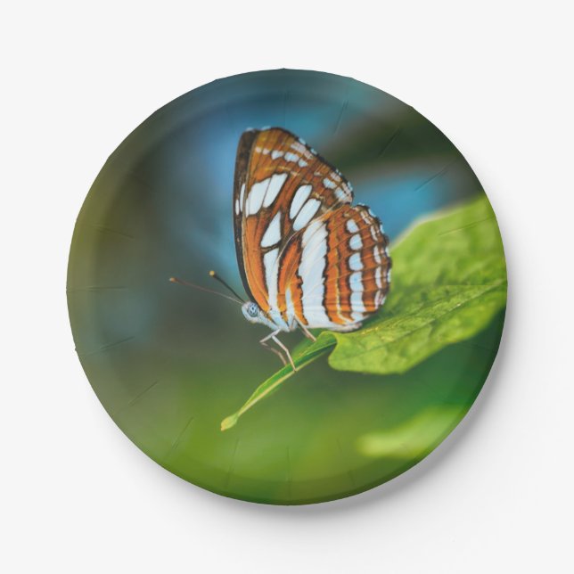 White and Orange Striped Butterfly Paper Plate (Front)