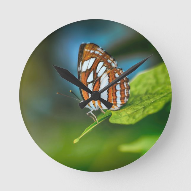 White and Orange Striped Butterfly Round Clock (Front)