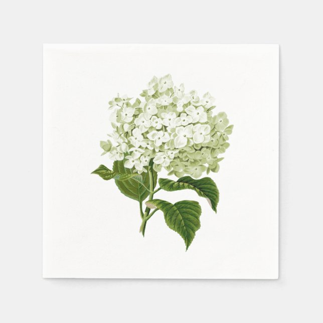 White and Pale Green Antique Hydrangea Flower Napkin (Front)