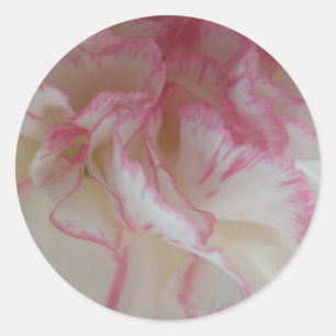 White and Pink Carnation Stickers