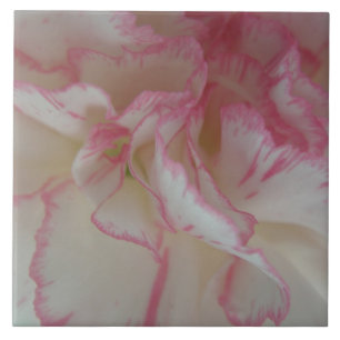 White and Pink Carnation Tile
