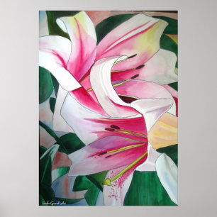 White and Pink day lily flower watercolor art Poster