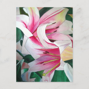 White and Pink day lily watercolor art flower Postcard