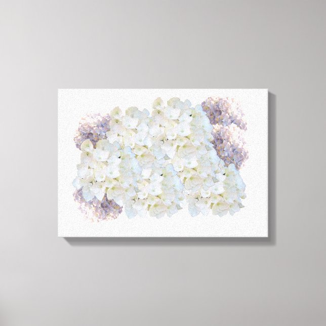 White and Pink Hydrangeas Canvas Print (Front)