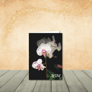 White and Pink Orchids Note Cards