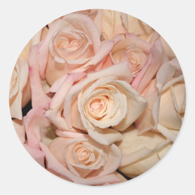white and pink rose classic round sticker (Front)