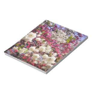 White and pink spring blossom in Wales Notepad