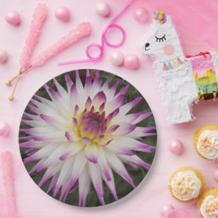 White and Purple Cactus Dahlia Floral Paper Plate