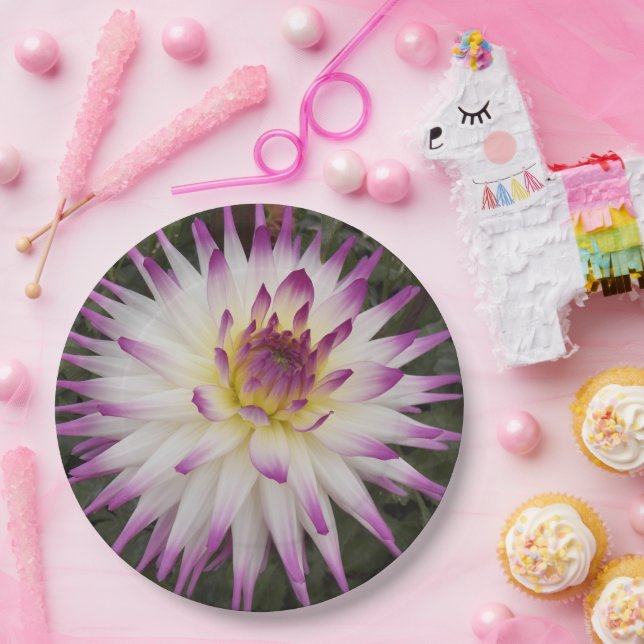 White and Purple Cactus Dahlia Floral Paper Plate (Party)