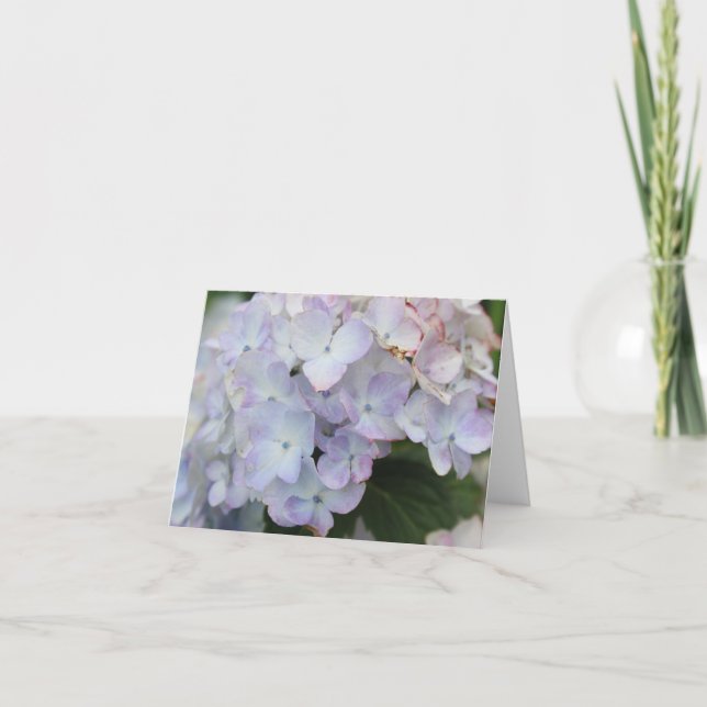 White and Purple HYDRANGEA Bloom Holiday Card (Front)