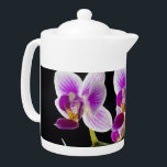 White and purple orchid<br><div class="desc">A beautiful white and purple orchid.</div>