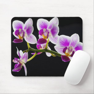 White and purple orchid mouse mat