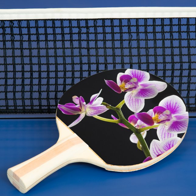 White and purple orchid ping pong paddle (Insitu)