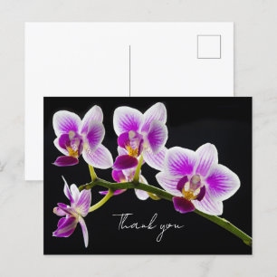 White and Purple Orchid Thank You Postcard