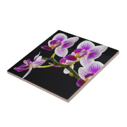 White and purple orchid tile