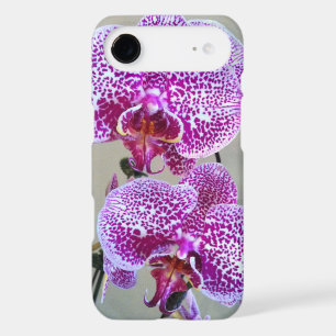 White and Purple Orchids Close-Up Photography