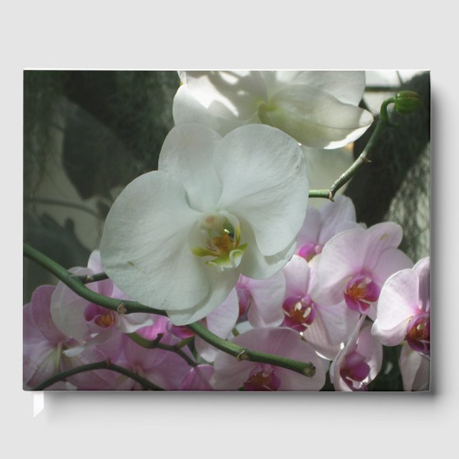 White and Purple Orchids Guest Book (Front)