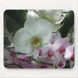 White and Purple Orchids Mouse Mat