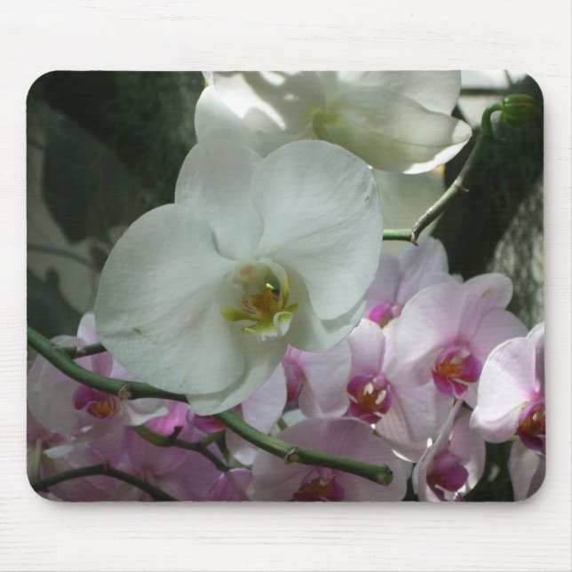 White and Purple Orchids Mouse Mat (Front)