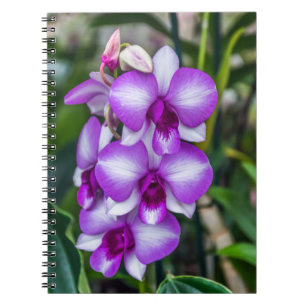 White and purple orchids notebook