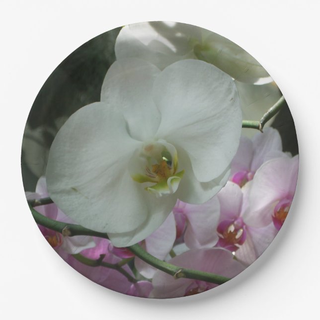 White and Purple Orchids Paper Plate (Front)