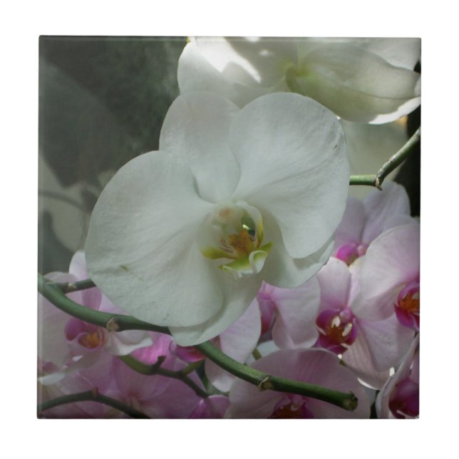 White and Purple Orchids Tile (Front)