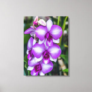 White and purple orchids view canvas print