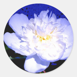 White and purple Peony photo Classic Round Sticker