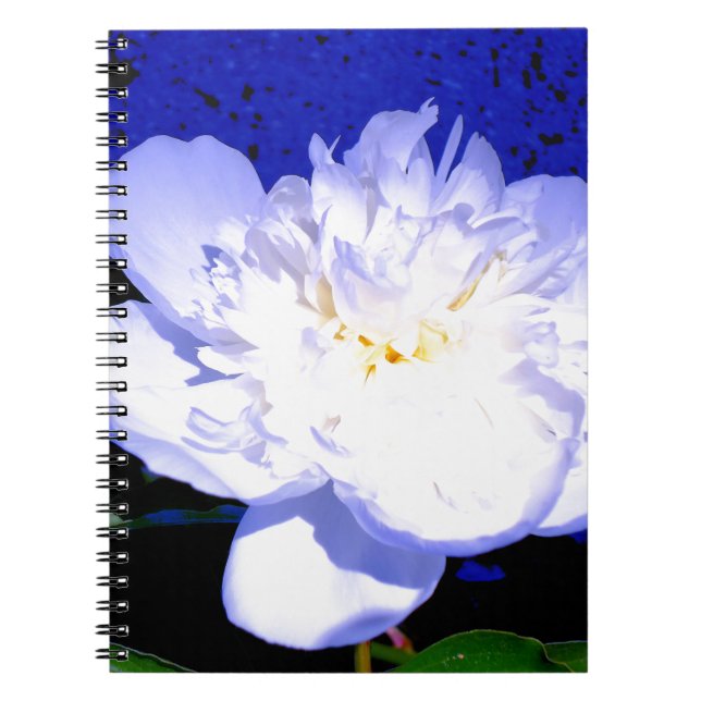 White and purple peony photo notebook (Front)