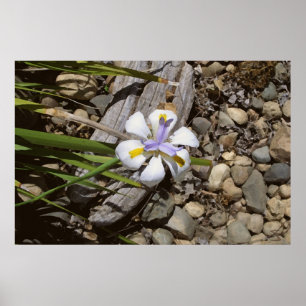 White and Purple Poster