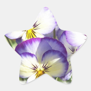 White and Purple Violas Stickers