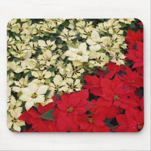 White and Red Poinsettias I Holiday Floral Mouse Mat