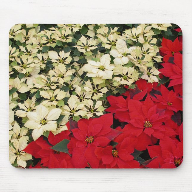 White and Red Poinsettias I Holiday Floral Mouse Mat (Front)
