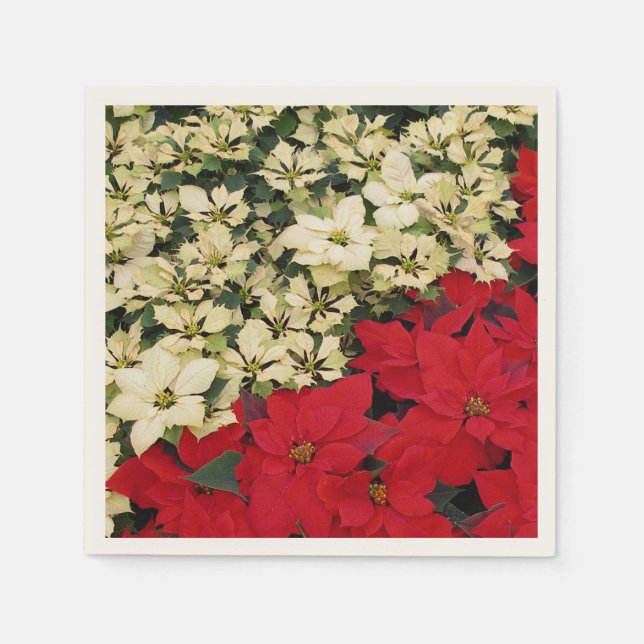 White and Red Poinsettias I Holiday Floral Napkin (Front)