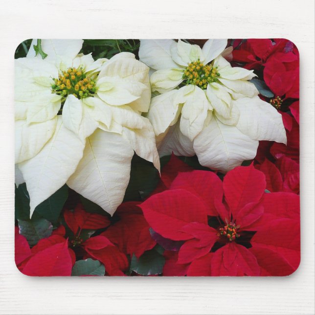 White and Red Poinsettias II Christmas Holiday Mouse Mat (Front)
