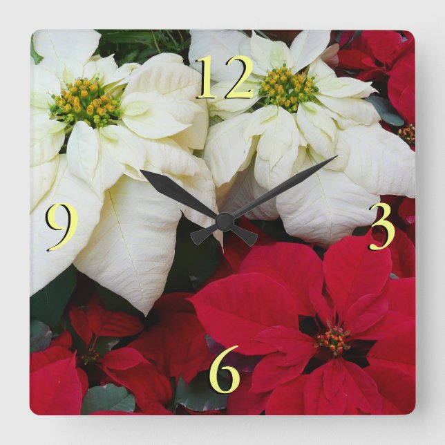 White and Red Poinsettias II Christmas Holiday Square Wall Clock (Front)