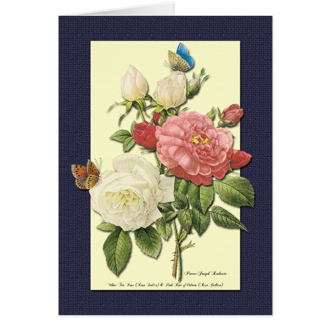 White and Red Roses Botanical Art Card (Front)