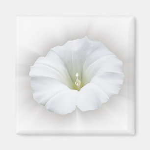 white and shades of grey magnet