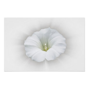 white and shades of grey poster