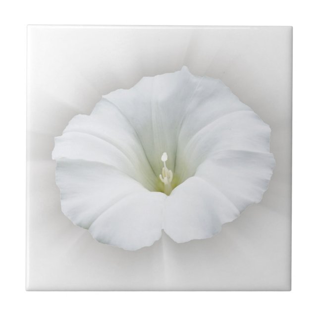 white and shades of grey tile (Front)