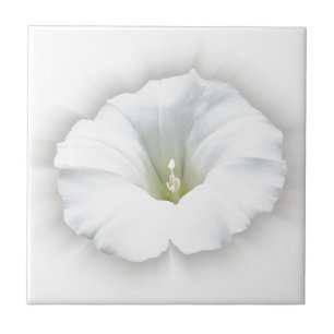 white and shades of grey tile