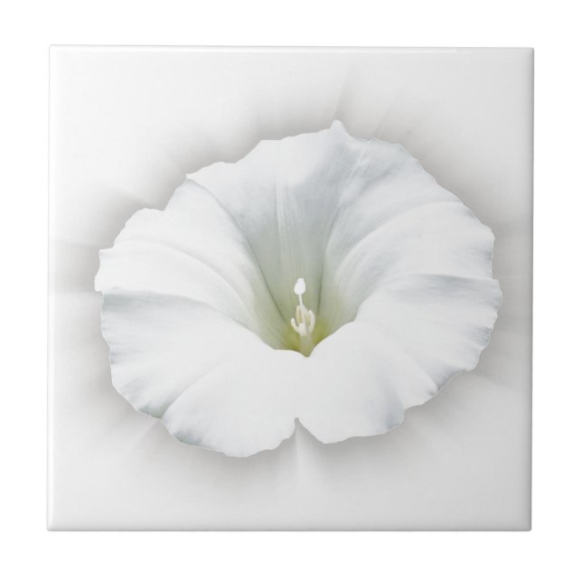 white and shades of grey tile (Front)