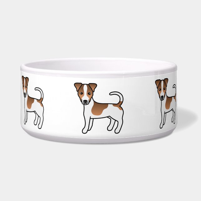 White And Tan Smooth Coat Jack Russell Terrier Dog (Front)