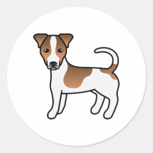 White And Tan Smooth Coat Jack Russell Terrier Dog Classic Round Sticker