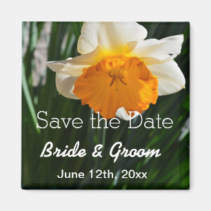 White and yellow daffodil flower save the date magnet