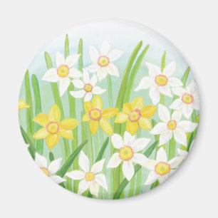 White and Yellow Daffodils Magnet