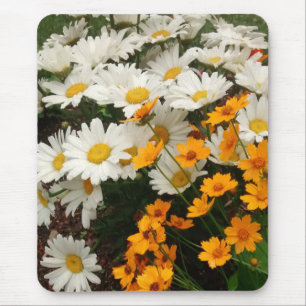 White and Yellow Daisies Mouse Mat