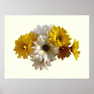 White and Yellow Daisies Poster