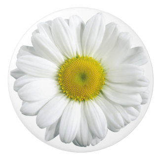 White and Yellow Daisy Pretty Ceramic Knob